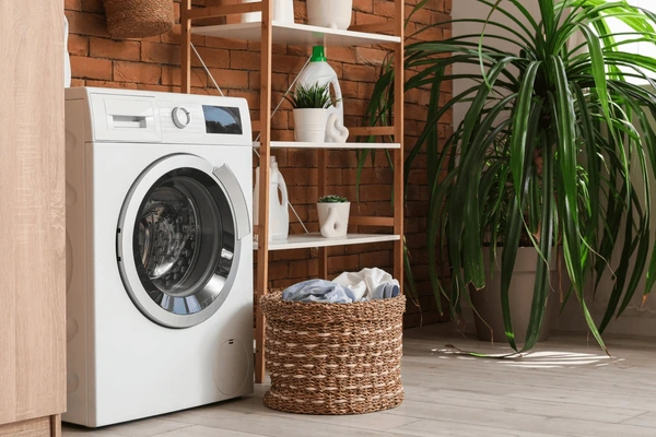 Eco-Friendly Laundry Practices